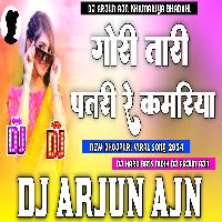 Gori Tori Patari Re Kamariya Bhojpuri Viral Song Dj Hard Bass Mixx Bhojpuri Viral Song 2024 Dj Arjun AjN